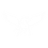 Pegasus Labs